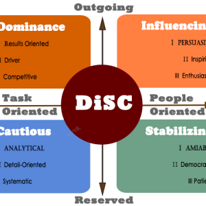 DiSC Personality Assessment (Online 24 items)